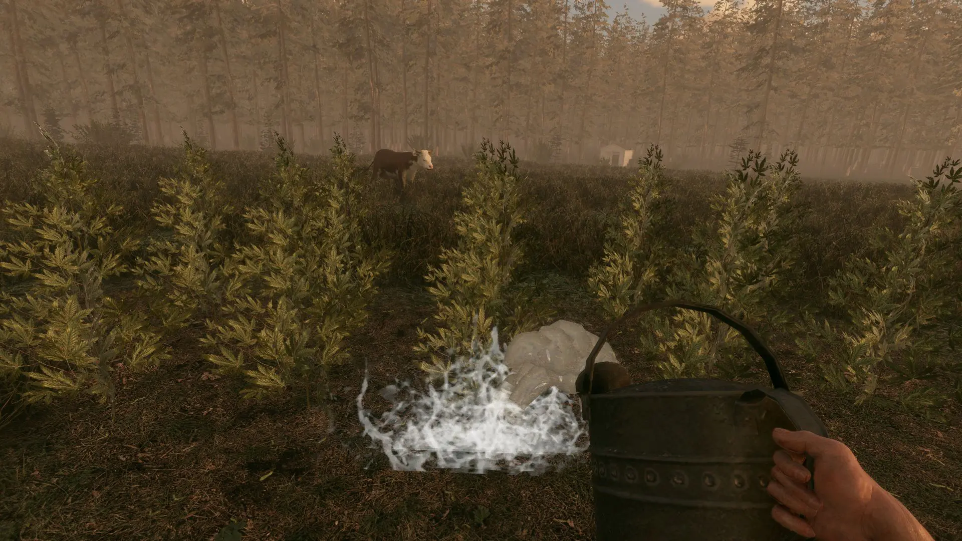 fields_of_fear_screenshot_05_fhd