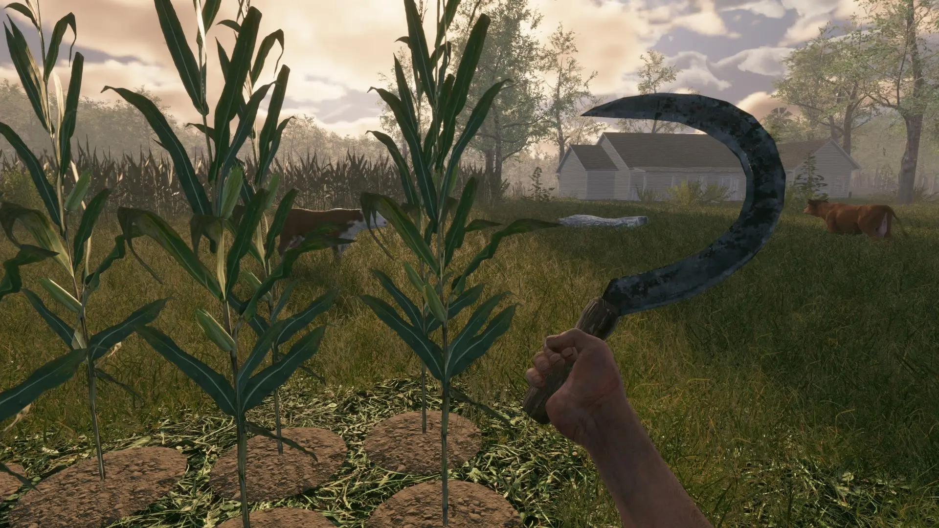 fields_of_fear_screenshot_02_fhd